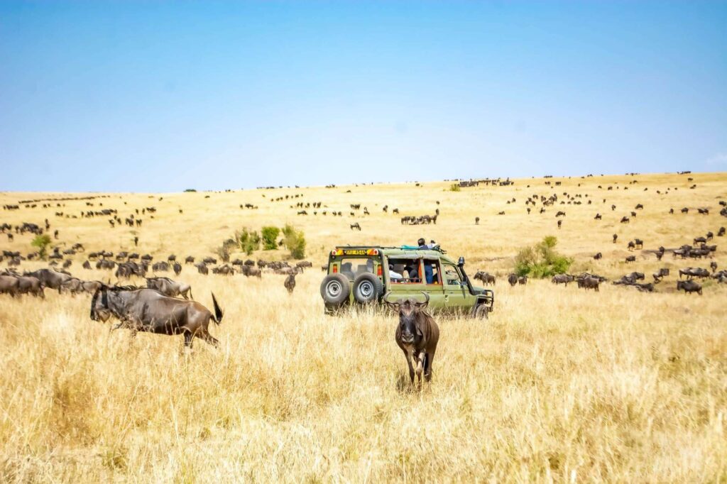 Travel Destinations in Kenya